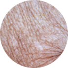 Environ Skin Care - Dry Skin