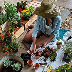 Plant colourful fruits and vegetables - Environ Skin Care