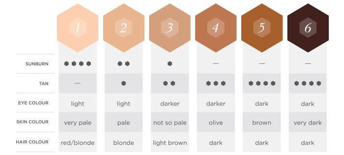 skin colours scientific classification infographic