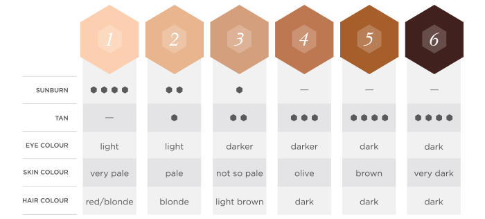 skin colours scientific classification infographic